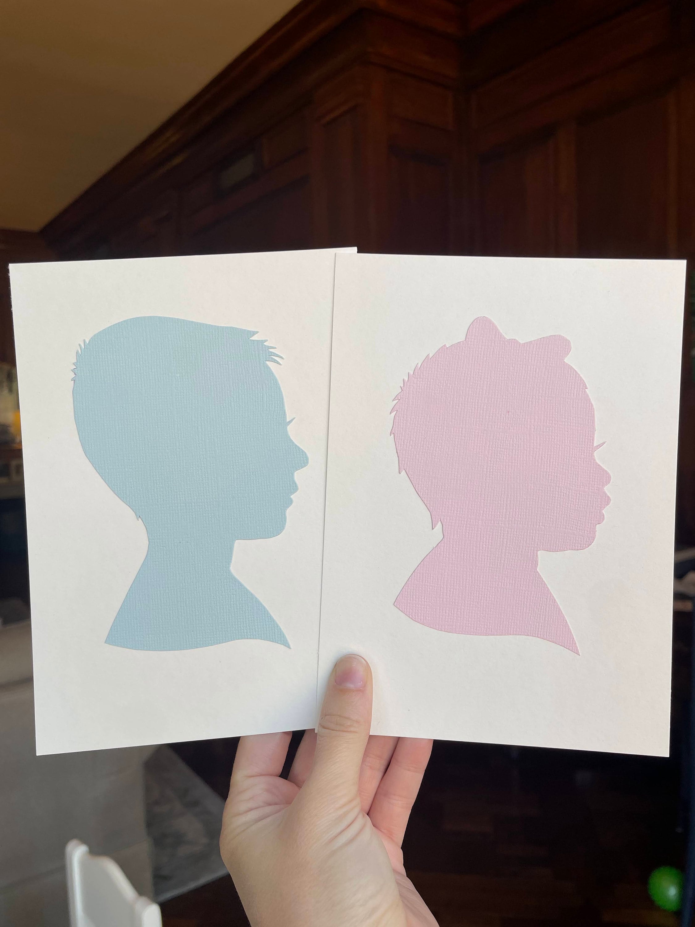 Colored Silhouette Portrait