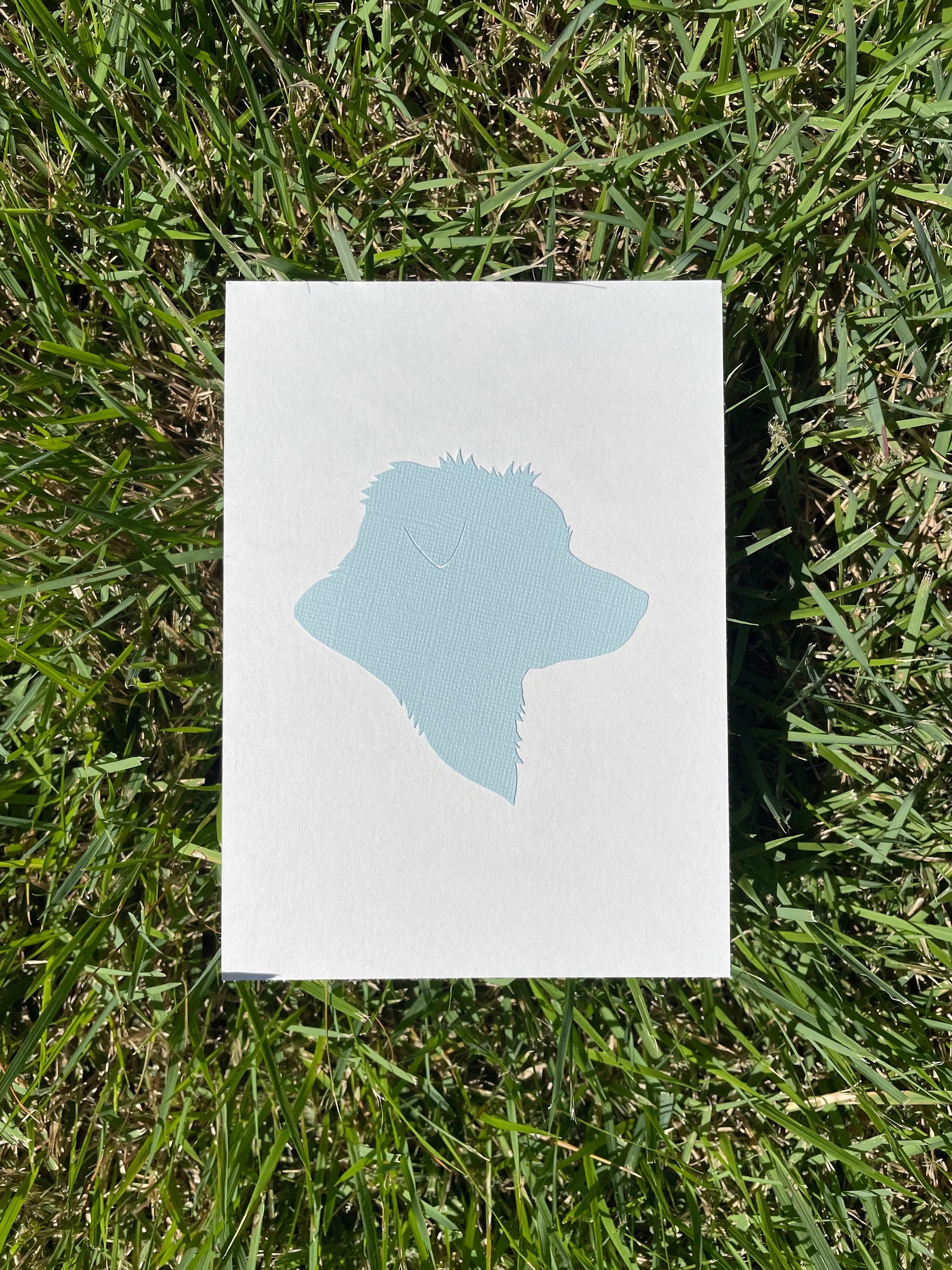 Colored Silhouette Portrait