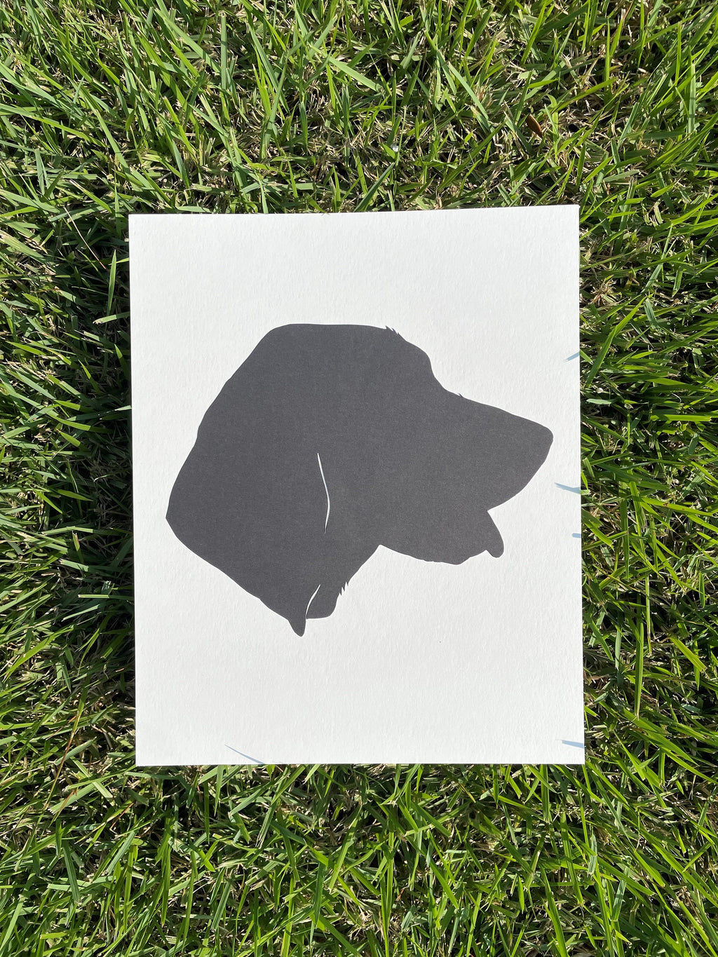 Pet Silhouette Portrait
